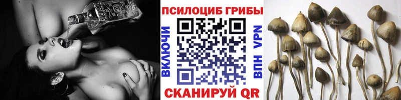 площадка официальный сайт Шиханы Псилоцибиновые грибы ЛСД хочу наркоту